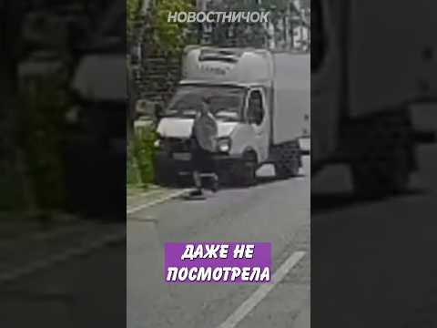 Водитель газели не ожидал такой наглости! | Новостничок