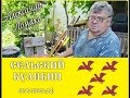 Лента из пластиковых бутылок