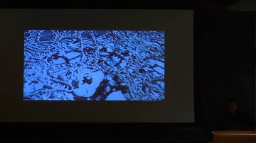 David Ruy: "Returning to (Strange) Objects"