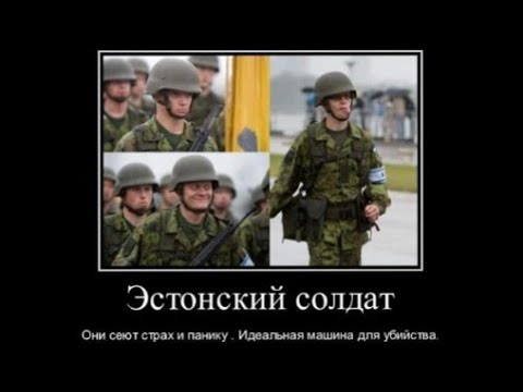 Боеготовность Эстонской армии. Комментатор жжёт.
