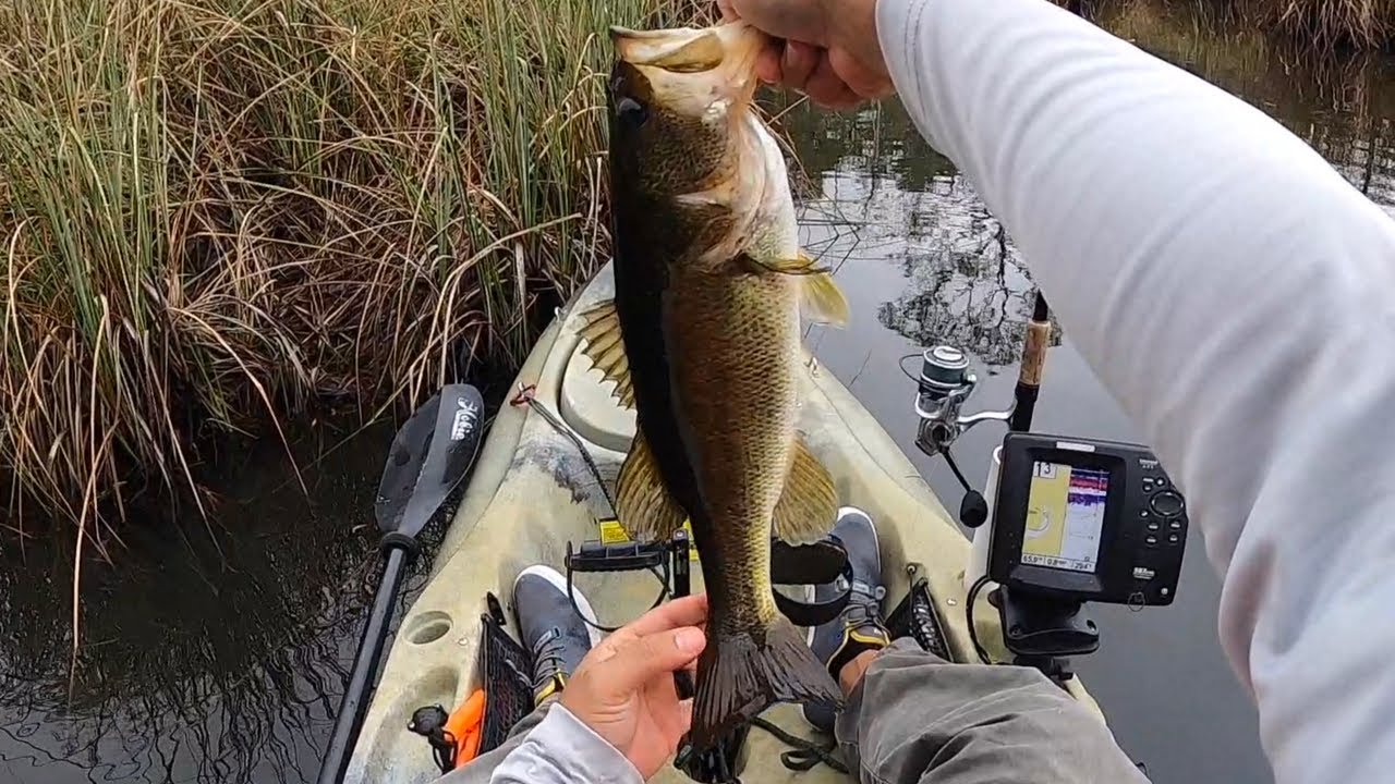 Kayak Fishing Brackish Water Choctawhatchee Bay Florida Catching Bass