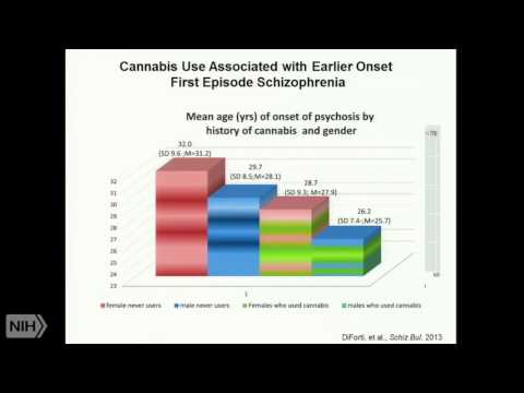 Psychosis, Addiction, and Alcohol Interactions