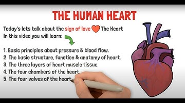 Heart Structure & Function in 5 mins | GCSE | IGCSE | NEET | Biology