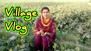 My First Vlog | Sisters and Brothers Vlog | Chikni Art | Punjab Vlog | Village Vlog | Garden Master