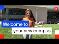 Take a virtual campus tour at UTS | UTS International