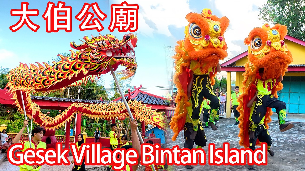 舞龍舞獅大伯公廟 | Lion Dance Tnj Hong Teng @Tua Pek Kong Temple Gesek Village Bintan Island