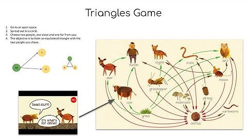 Virtual Triangles Game