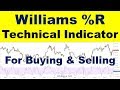 Williams R Indicator Tutorial | How to use William% R Indicator? | Williams % R strategy