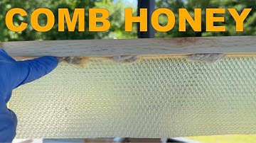 BEEKEEPING: How to Make a Few Frames of Comb Honey