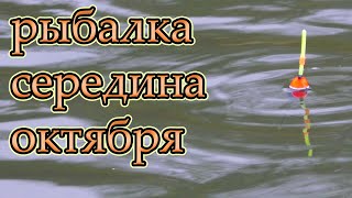 Рыбалка На Поплавок В Середине Октября 2023