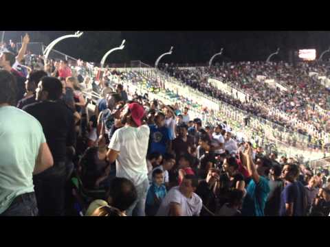 путин хуйло - მესხის სახ. სტადიონზე ააფრიალეს