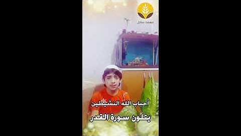 سورة القدر في ليلة القدر 2020 تلاوة ( اسامة أيوب)