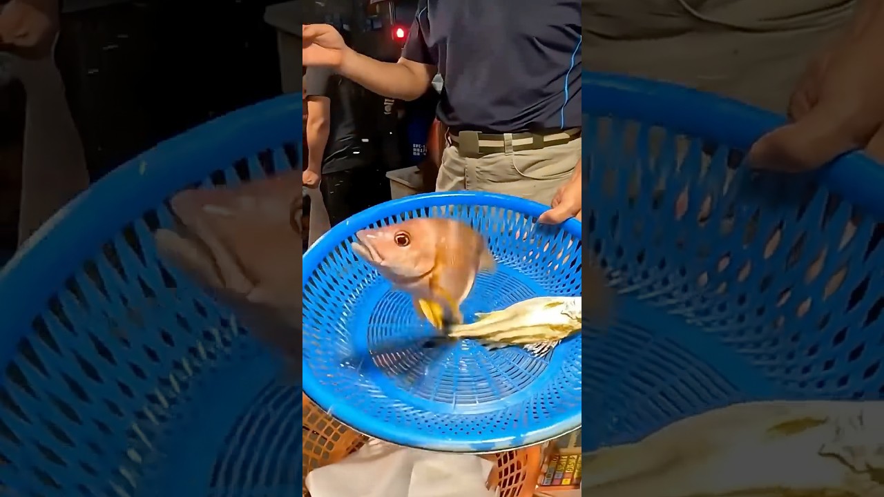 活跳跳的鮮魚貨~白星笛鯛、花身仔拍賣!基隆崁仔頂(JJ Family買魚日記) 縮圖