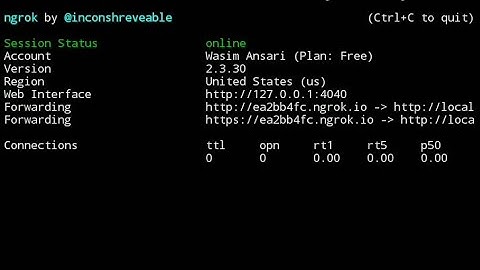 NGROK reconnecting issue solved... 🔥🔥🔥| 100% Working Method |  | NGROK Installation | |