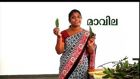 Std 3 Evs Unit 1 Class 03 White Board HI