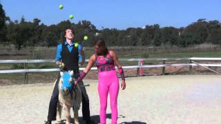 James BuSTAR - I'm Juggling On A Horse! (and A Pony) James BuSTAR - I'm Juggling On A Horse! (and A Pony)