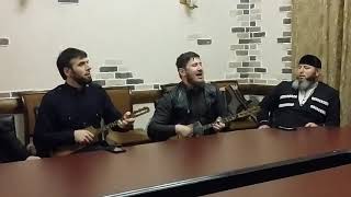 картинка: Ойла яра илли