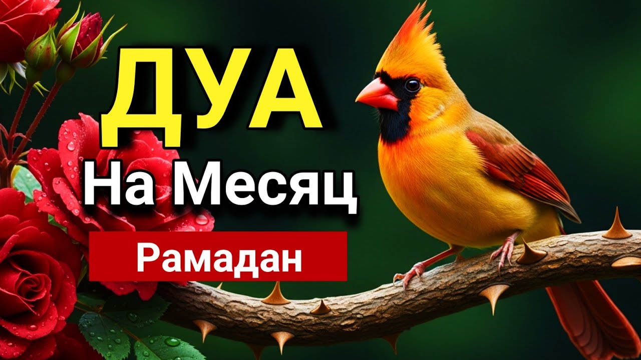 🔑✨ Слушай это дуа сейчас в месяце рамадан - Дуа которое стирает все грехи! 💖🤲💯