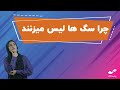 آیا عادت لیس زدن سگ شما نشانه ی مهمی هست