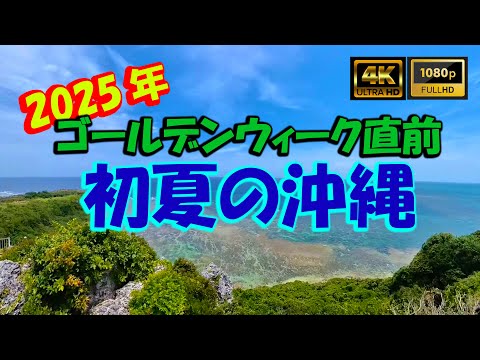 ２０２５年 初夏の沖縄