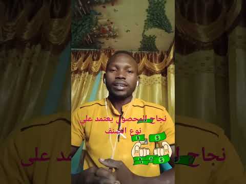 كيف تختار أفضل أصناف البصل