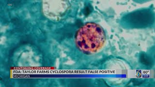 6 News at 5 p.m.: The Headlines - July 20, 2026