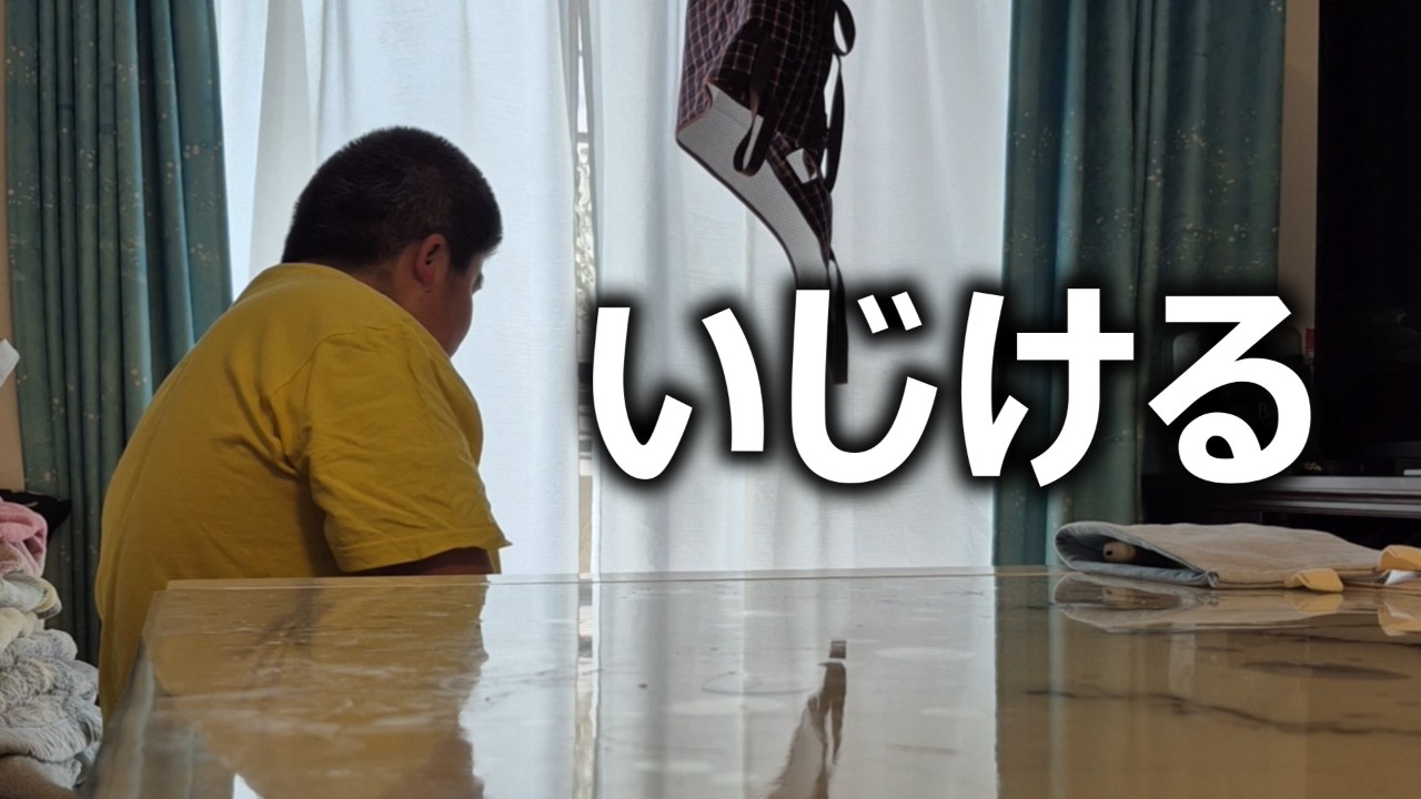 【不安定】あいちゃんが修学旅行に行ったらりく君が不安定になりました