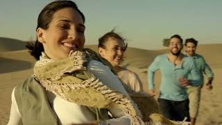 Discover Dubai | Destination2
