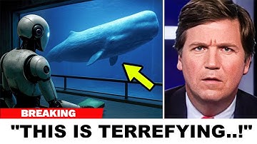 Scientists Just Decoded the Language of Whales Using AI... And It’s Not What You Think