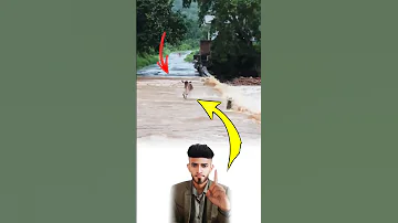 بلطف الله ينجو الضعيف حين يعجز القوي وتثبت الأقدام حين تزل العقول Explore Like Shorts 