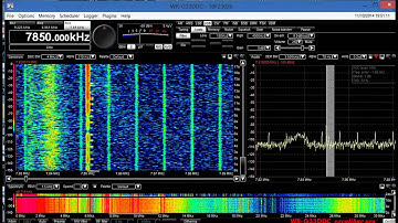 Wellbrook Loop Vs Par-SWL