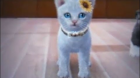 mini mep xD by music video:Higher