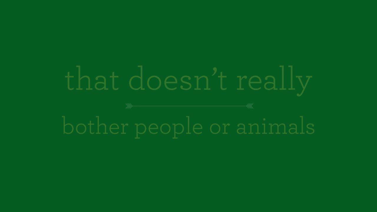 Fungus Gnat Control-CX Hydroponics