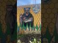 Enticing walk on the wild side. #pnwadventures #mural