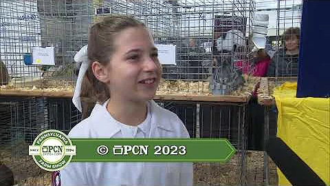 Youth Rabbit Showmanship Competition