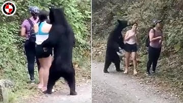 Cười Không Nhặt Được Mồm Với Khoảnh Khắc Hài Hước Và Khó Tin Nhất Từng Xuất Hiện Của Động Vật