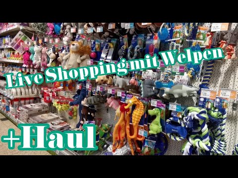 Live Shopping mit Welpen // Loki beim Fressnapf // Haul