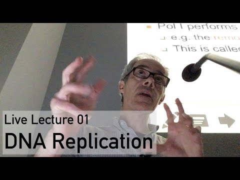 Video: DNA replication nrhiav tau li cas?
