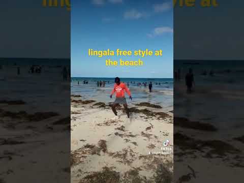 lingala dance (Koffi