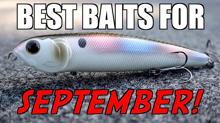 Top 3 Baits For SEPTEMBER Bass Fishing!