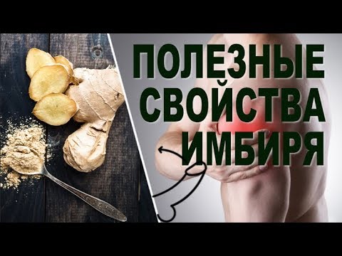 ZELЬEVAR / ЗЕЛЬЕВАР