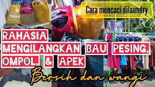 CARA MENGHILANGKAN BAU PESING PADA PAKAIAN//RAHASIA LAUNDRY