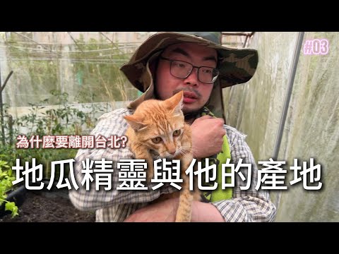 台北不好嗎？為什麼要回屏東種田? 來開箱我家農地一起跟橘貓種地瓜！【北漂青年返鄉種田 ep3】