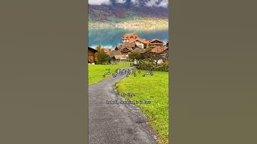 واتس أب قرآن كريم القارئ نعمة الحسان سورة (العصر)