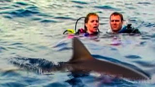 Das Tauchboot hat sie im Stich gelassen | Open Water | German Deutsch Clip