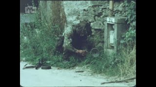 BRITISH ARMY: Sappers in War (1984)