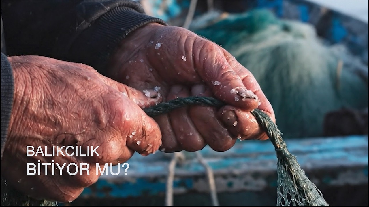 Tuz ve Düğüm Marmara Denizi'nde Balıkçılık Tükeniyor mu? Belgesel (The Salt and the Knot)