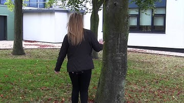 Chase Scene - Preliminary Task (A2 Media)