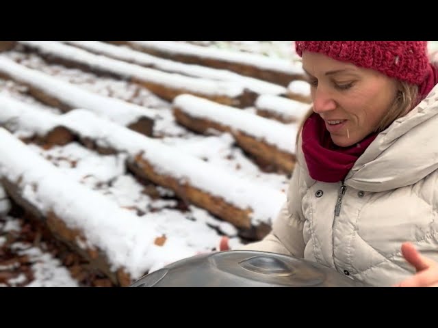 Handpan in the snow