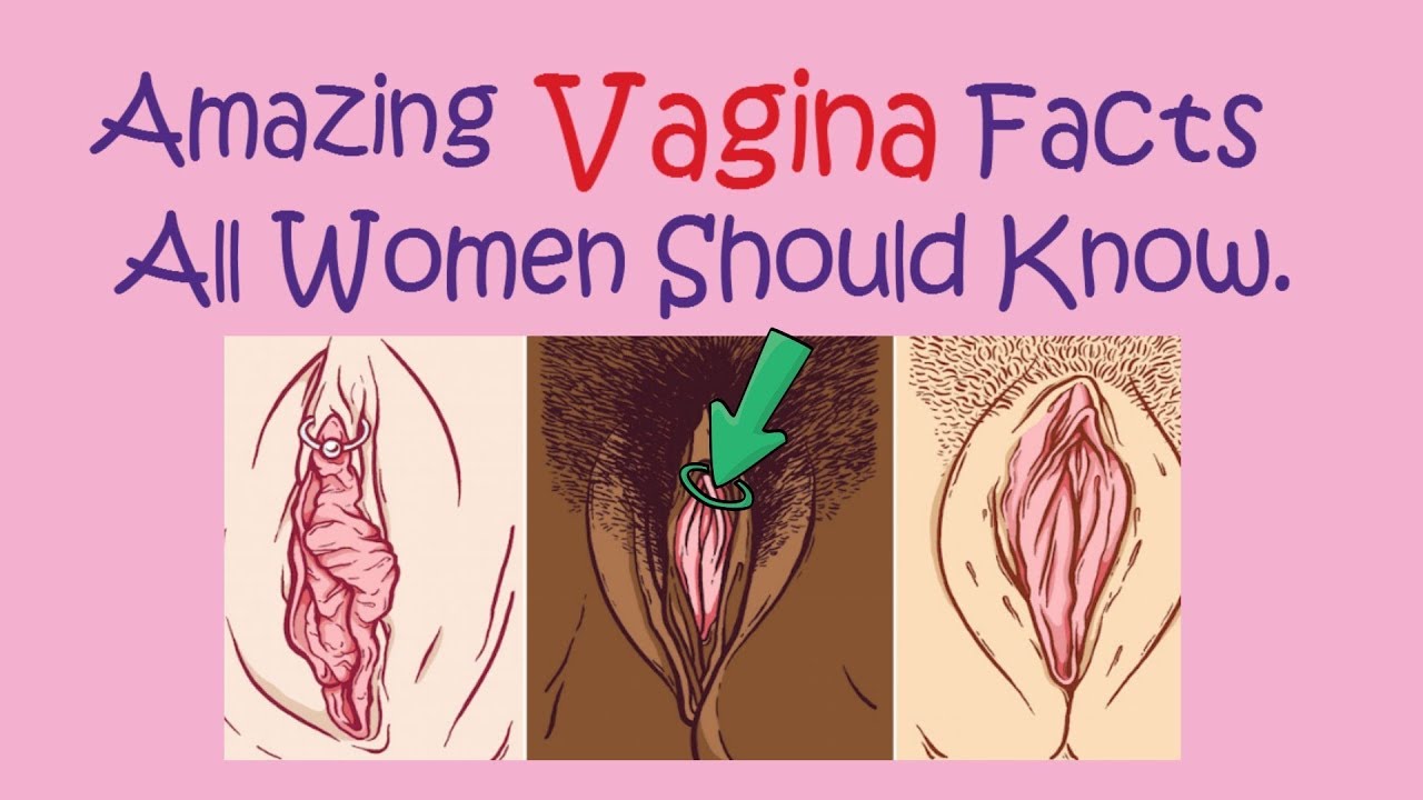 If Your Vagina Could Talk